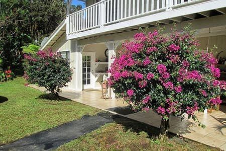 JWguest House at Mountain View, Hawaii | Mountain Breeze Cottage 2 Bed/1 b | Jwbnb no brobnb 5