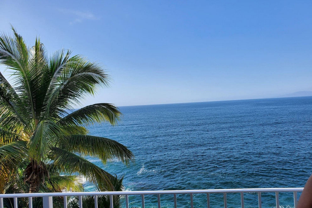 JWguest Apartment at Aguacate, Jalisco | Amazing and peaceful Ocean View | Jwbnb no brobnb 4