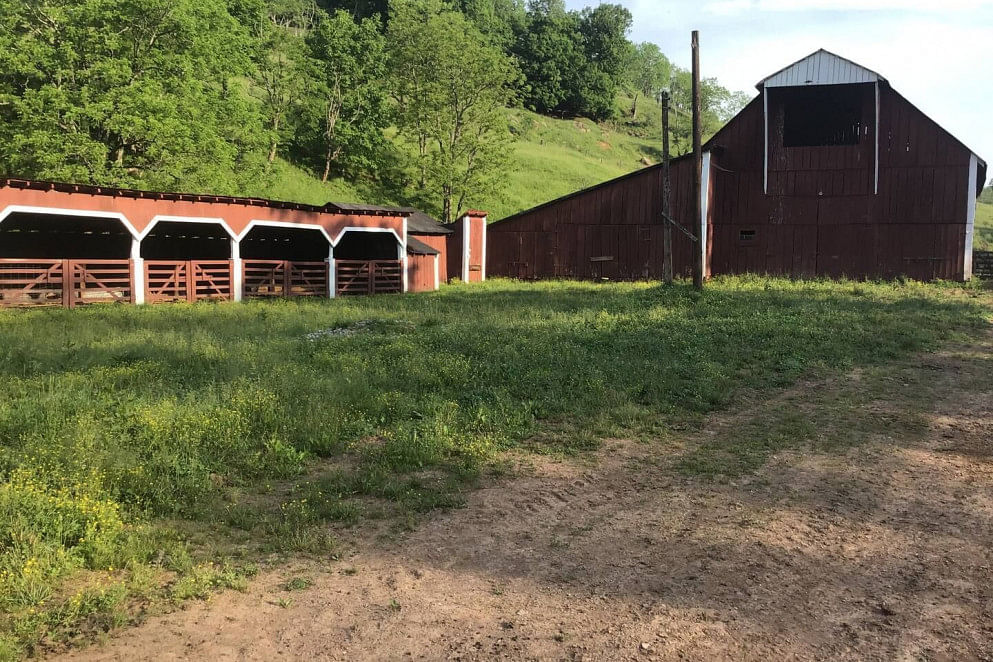 JWguest Rental unit at LeRoy, West Virginia | The Farm - Cottage On The Hill | Jwbnb no brobnb 20