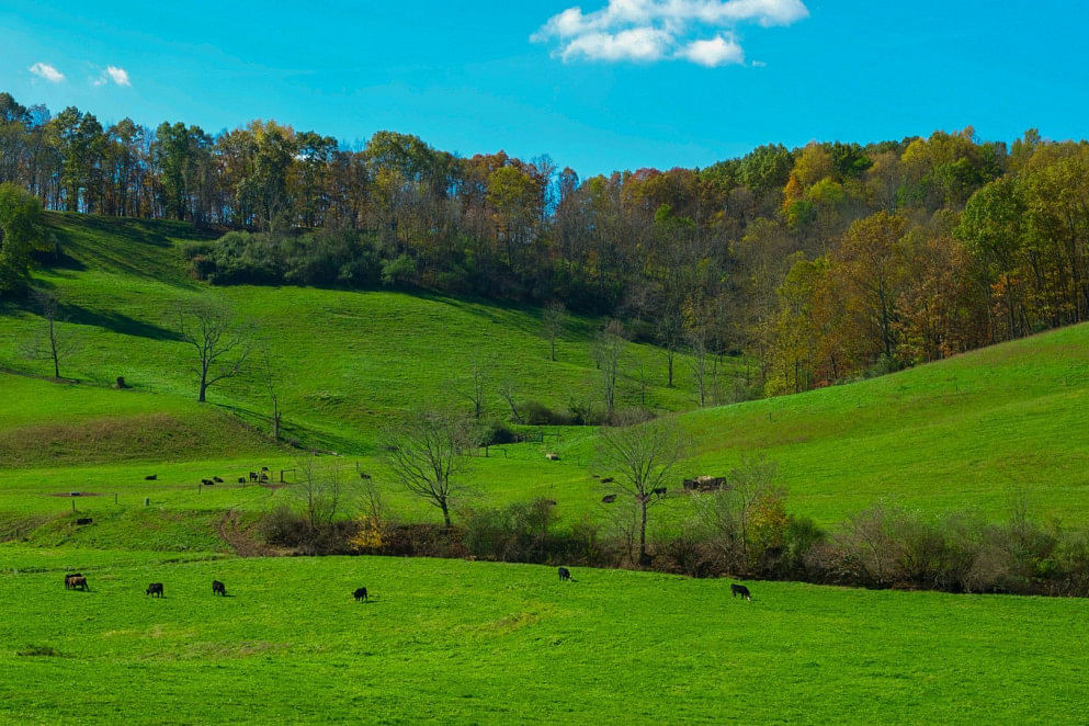 JWguest Rental unit at LeRoy, West Virginia | The Farm - Cottage On The Hill | Jwbnb no brobnb 27
