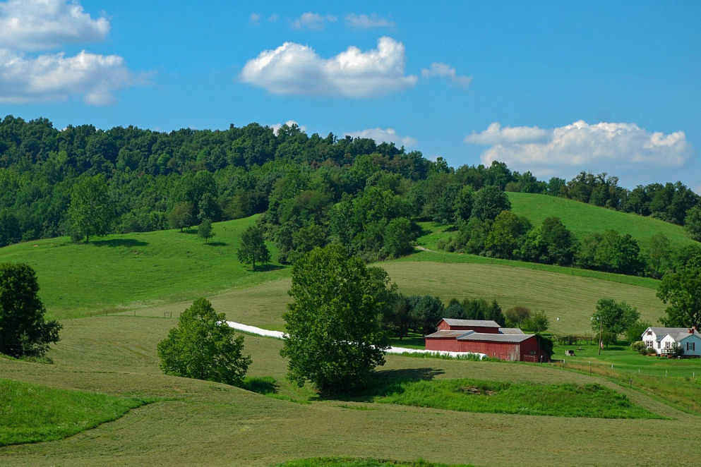 JWguest Rental unit at LeRoy, West Virginia | The Farm - Cottage On The Hill | Jwbnb no brobnb 29