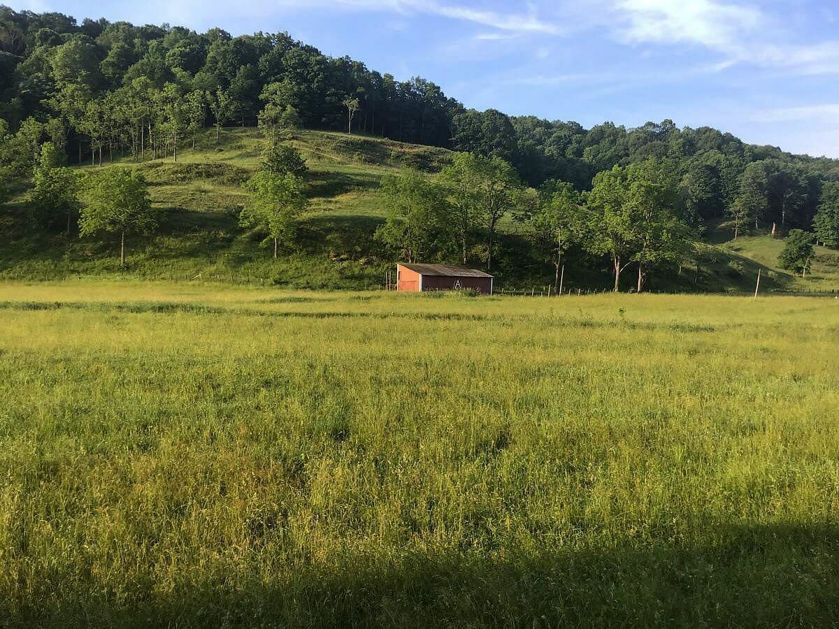 JWguest Rental unit at LeRoy, West Virginia | The Farm - Cottage On The Hill | Jwbnb no brobnb 42