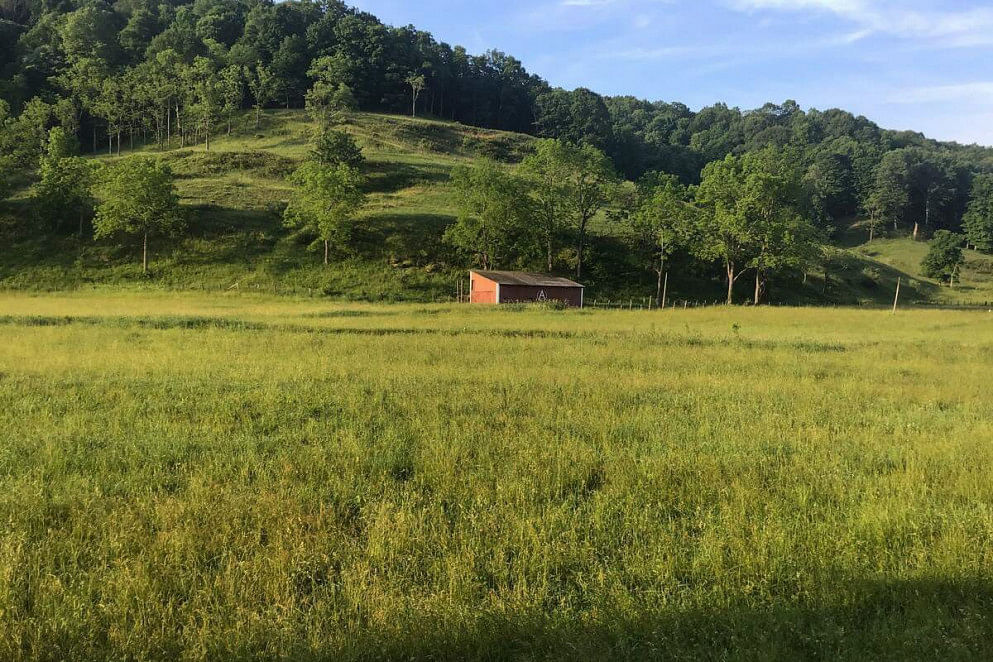 JWguest Rental unit at LeRoy, West Virginia | The Farm - Cottage On The Hill | Jwbnb no brobnb 42