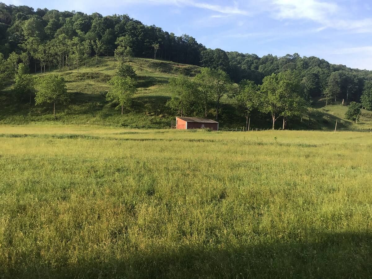 JWguest Residential Home at LeRoy, West Virginia | The Farm - Country Getaway | Jwbnb no brobnb 3