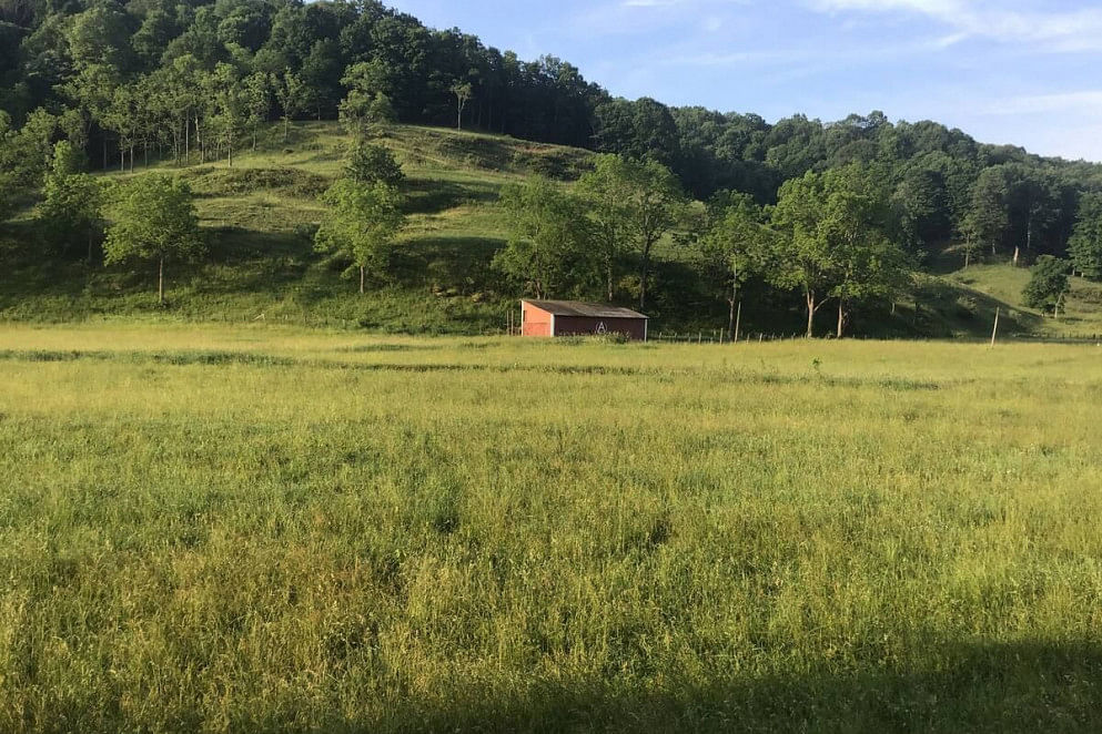 JWguest Residential Home at LeRoy, West Virginia | The Farm - Country Getaway | Jwbnb no brobnb 3