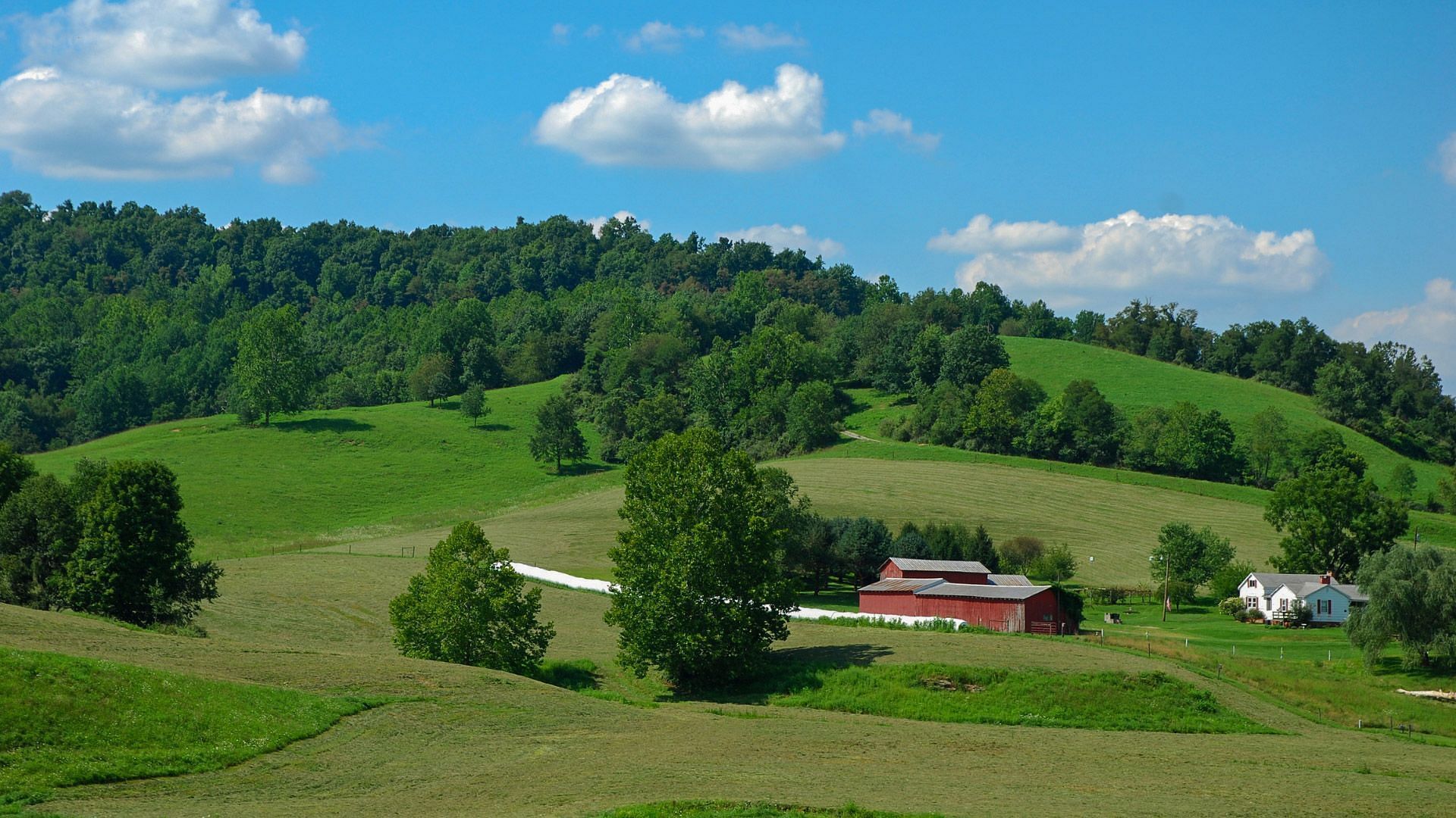 JWguest Residential Home at LeRoy, West Virginia | The Farm - Country Getaway | Jwbnb no brobnb 31