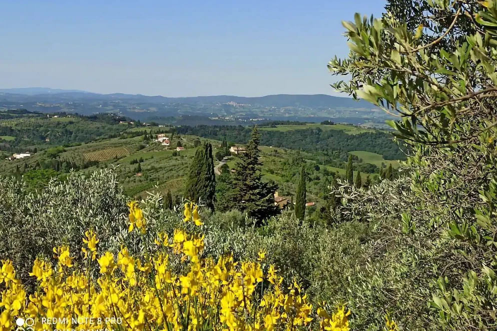 JWguest House at Barberino Tavarnelle, Toscana | A lovely apartament in Chianti area | Jwbnb no brobnb 3