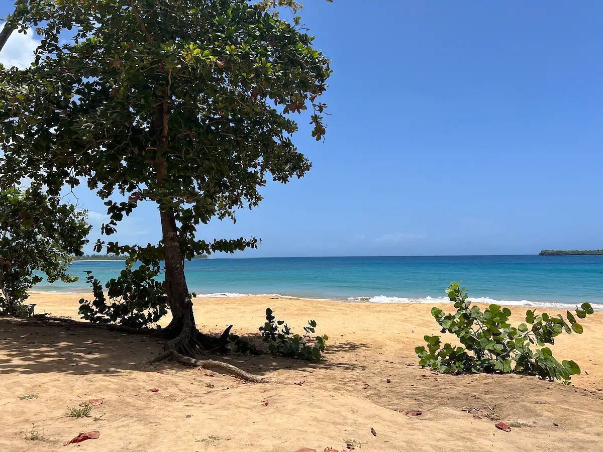 JWguest Rental unit at Las Terrenas, Samaná | PunkyGia’s Caribbean Retreat | Jwbnb no brobnb 51