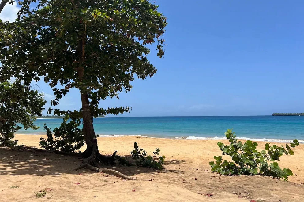 JWguest Rental unit at Las Terrenas, Samaná | PunkyGia’s Caribbean Retreat | Jwbnb no brobnb 51
