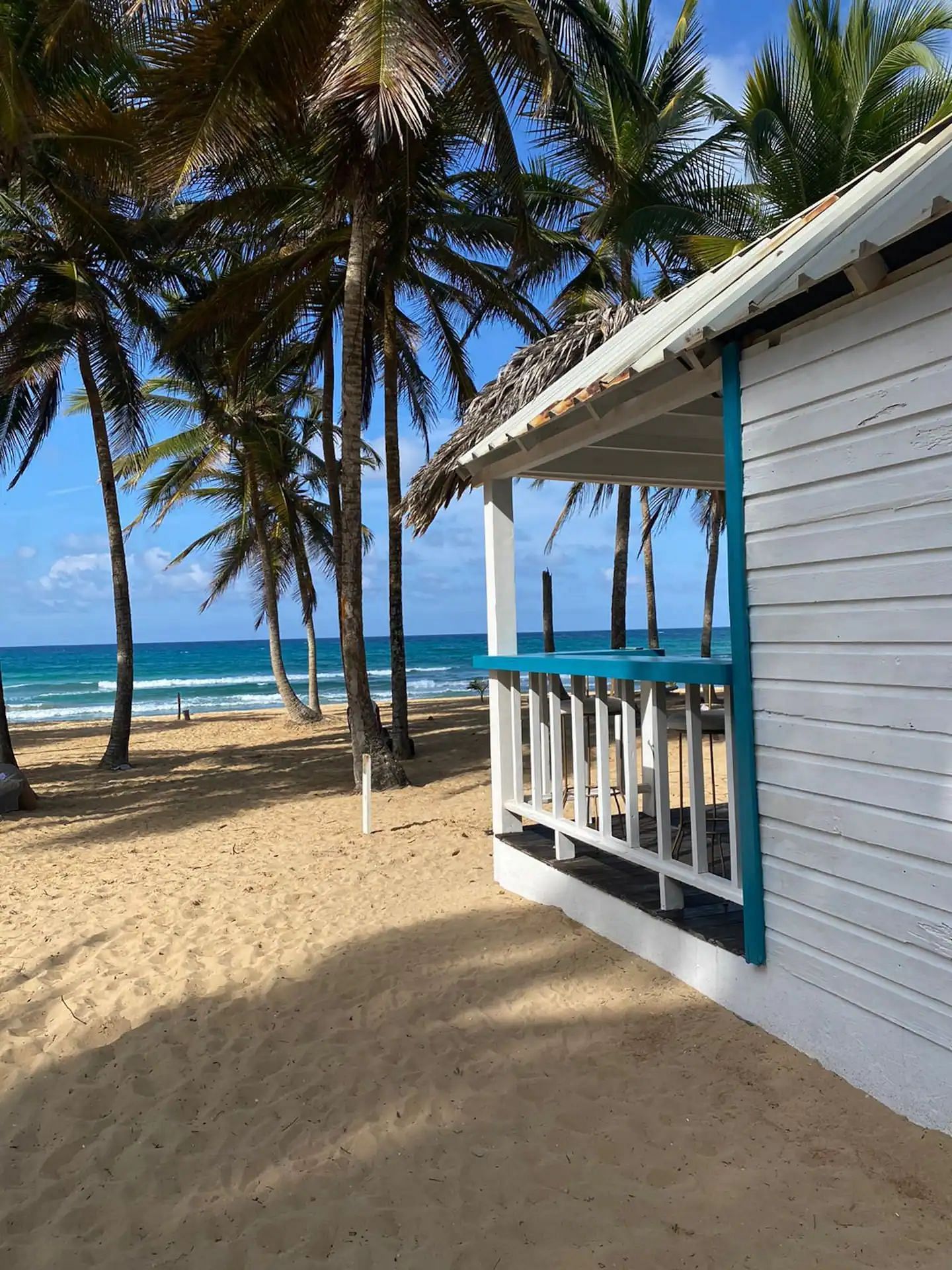 JWguest Rental unit at Punta Cana, La Altagracia | Cozy Beach Front Apartment #1. Unspoiled Beach. | Jwbnb no brobnb 1