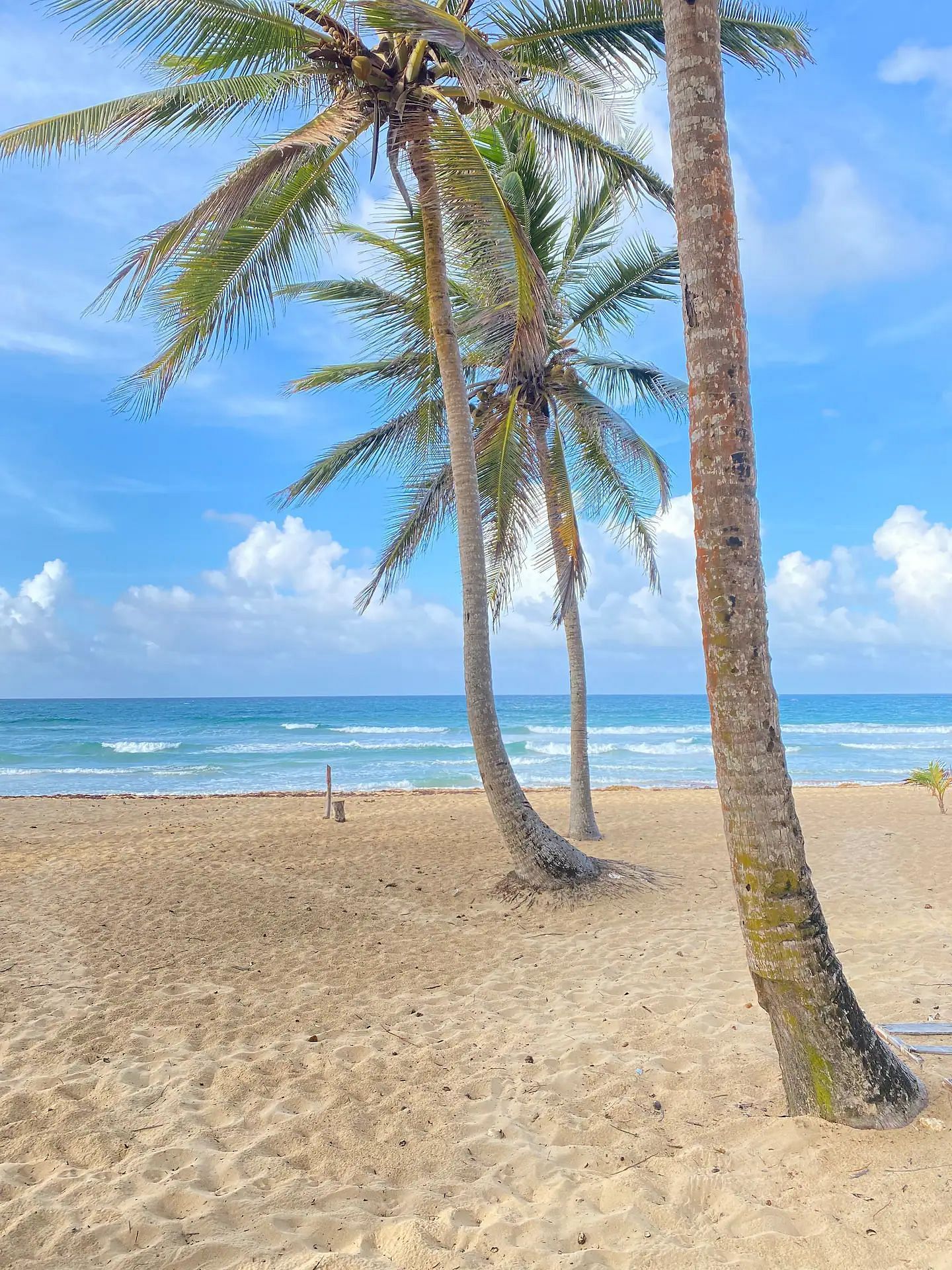 JWguest Rental unit at Punta Cana, La Altagracia | Cozy Beach Front Condo #2. Unspoiled Beach | Jwbnb no brobnb 3