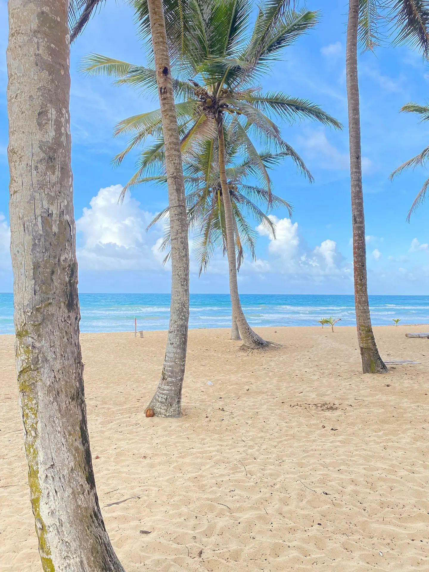 JWguest Rental unit at Punta Cana, La Altagracia | Cozy Beach Front Condo #2. Unspoiled Beach | Jwbnb no brobnb 5