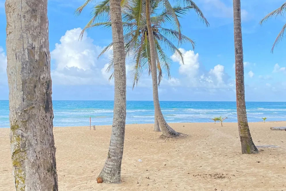 JWguest Rental unit at Punta Cana, La Altagracia | Cozy Beach Front Condo #2. Unspoiled Beach | Jwbnb no brobnb 5