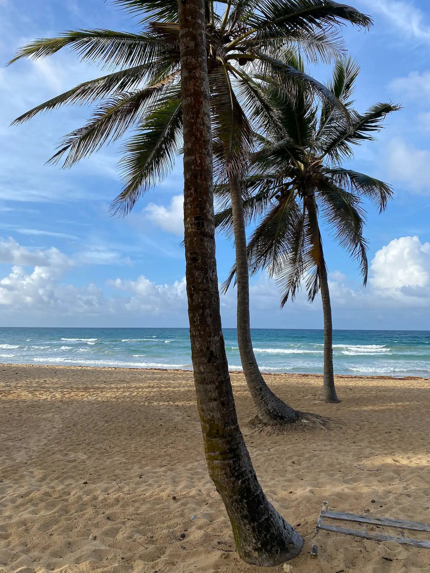 JWguest Rental unit at Punta Cana, La Altagracia | Cozy Beach Front Condo #2. Unspoiled Beach | Jwbnb no brobnb 9
