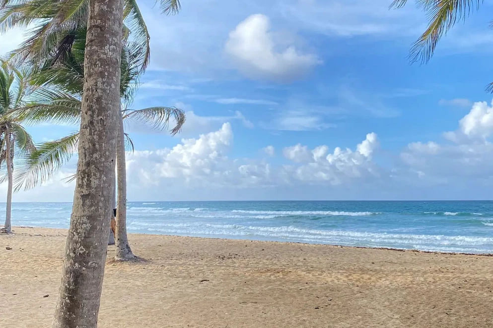 JWguest Rental unit at Punta Cana, La Altagracia | Cozy Beach Front Condo #2. Unspoiled Beach | Jwbnb no brobnb 10