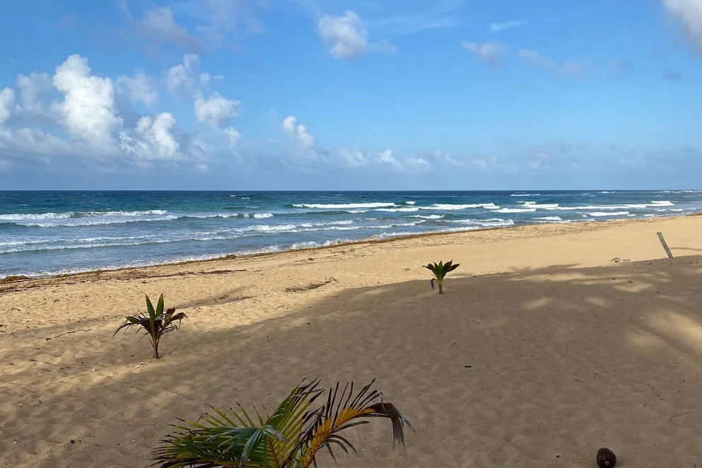 JWguest Rental unit at Punta Cana, La Altagracia | Cozy Beach Front Condo #2. Unspoiled Beach | Jwbnb no brobnb 15
