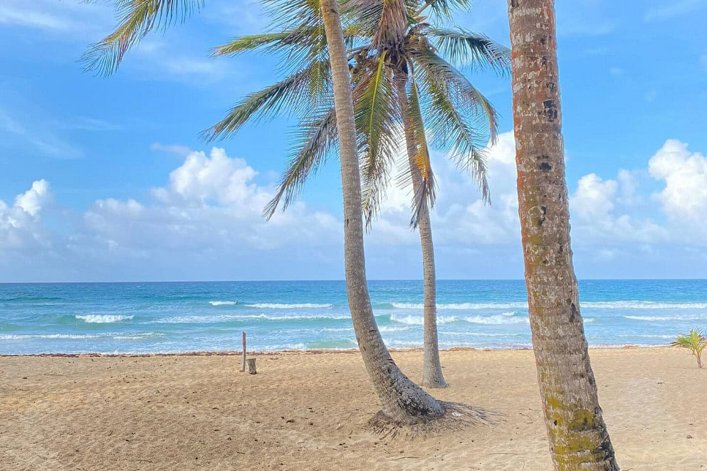 JWguest Rental unit at Punta Cana, Provincia di La Altagracia | Cozy Beach Front Condo #3. Unspoiled Beach | Jwbnb no brobnb 11