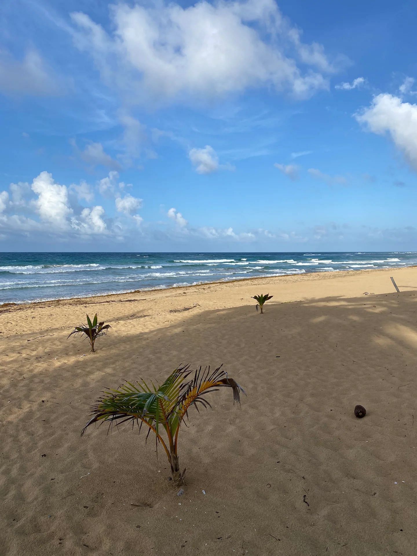 JWguest Rental unit at Punta Cana, Provincia di La Altagracia | Cozy Beach Front Condo #3. Unspoiled Beach | Jwbnb no brobnb 12