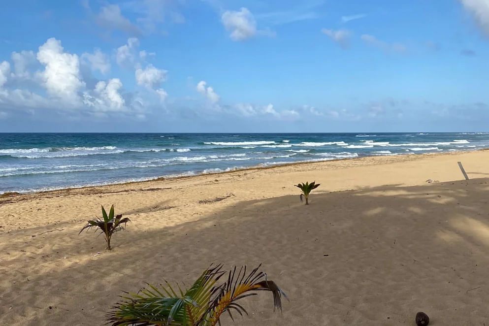 JWguest Rental unit at Punta Cana, Provincia di La Altagracia | Cozy Beach Front Condo #3. Unspoiled Beach | Jwbnb no brobnb 12