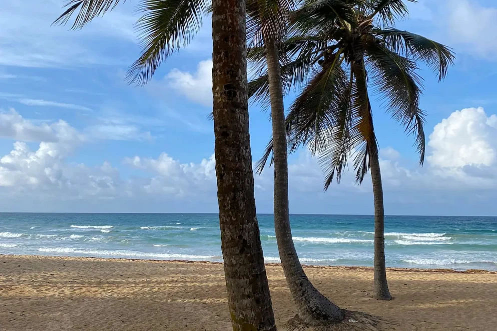 JWguest Rental unit at Punta Cana, Provincia di La Altagracia | Cozy Beach Front Condo #3. Unspoiled Beach | Jwbnb no brobnb 13