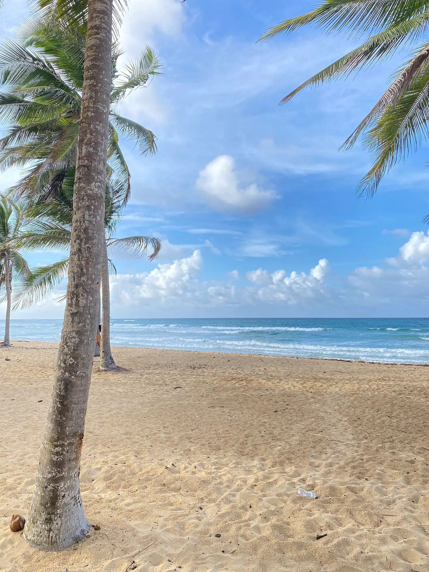 JWguest Rental unit at Punta Cana, Provincia di La Altagracia | Cozy Beach Front Condo #3. Unspoiled Beach | Jwbnb no brobnb 14