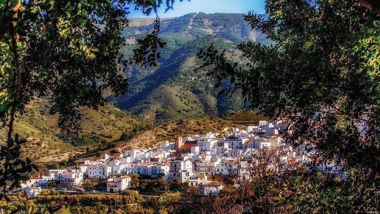 JWguest Apartment at Árchez, Andalucía | Stunning view | Jwbnb no brobnb 20