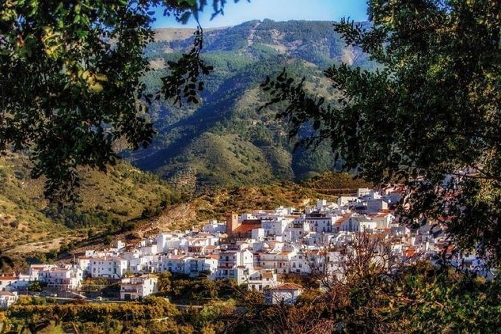 JWguest Apartment at Árchez, Andalucía | Stunning view | Jwbnb no brobnb 27