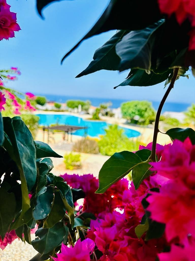 JWguest Apartment at Esentepe, North Cyprus (TRNC) | Ocean Blue Retreat | Jwbnb no brobnb 1
