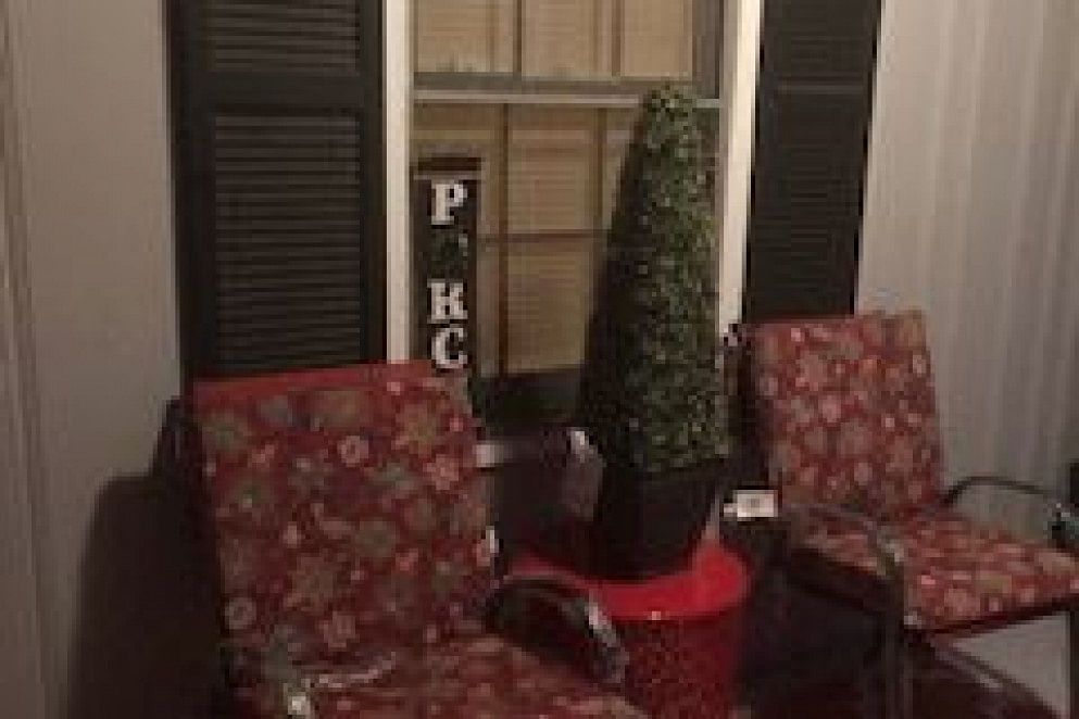 JWguest House at Riverdale, Georgia | Palm Tree Beauty | Jwbnb no brobnb 3