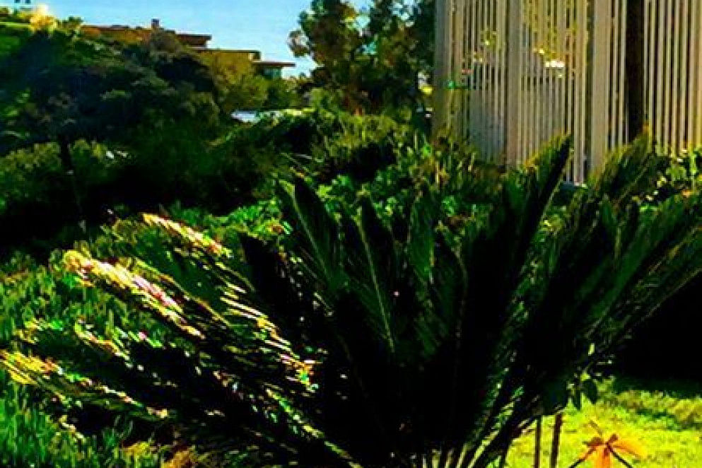 JWguest Condominium at San Clemente, California | San Clemente Tropical Gateway | Jwbnb no brobnb 23