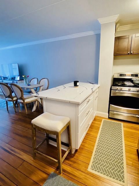 JWguest Apartment at Mount Kisco, New York | Modern Cozy Apartment Close to Bethels | Jwbnb no brobnb 6